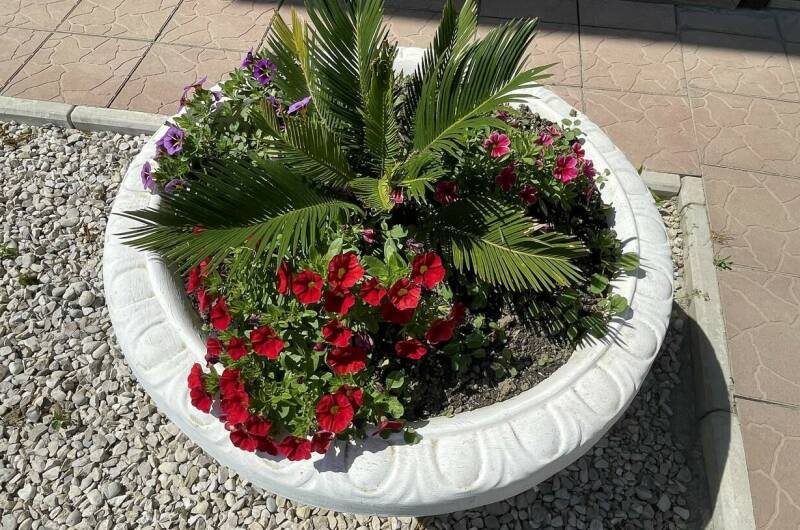 Изображение Изображение гостиницы &quot;Гостевой дом «Фортуна»&quot; #10 #8