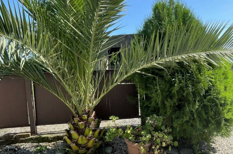 Изображение Изображение гостиницы &quot;Гостевой дом «Фортуна»&quot; #11 #9