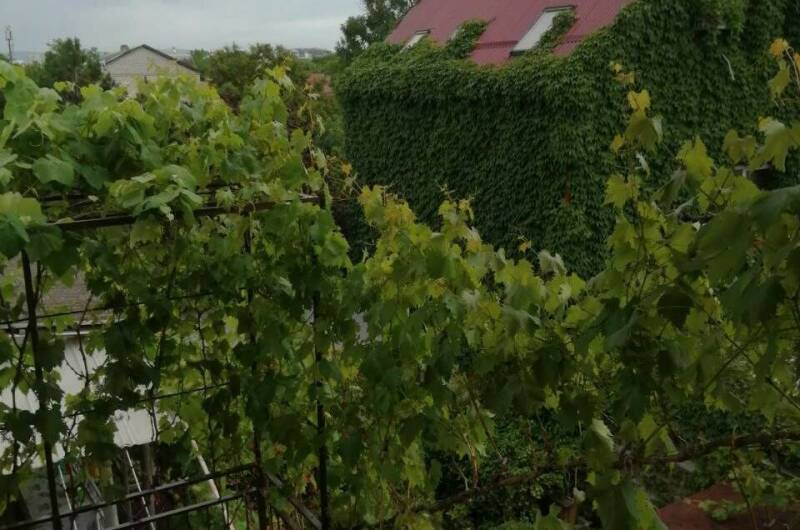 Изображение Изображение гостиницы &quot;Частный сектор на Самбурова&quot; #8 #6