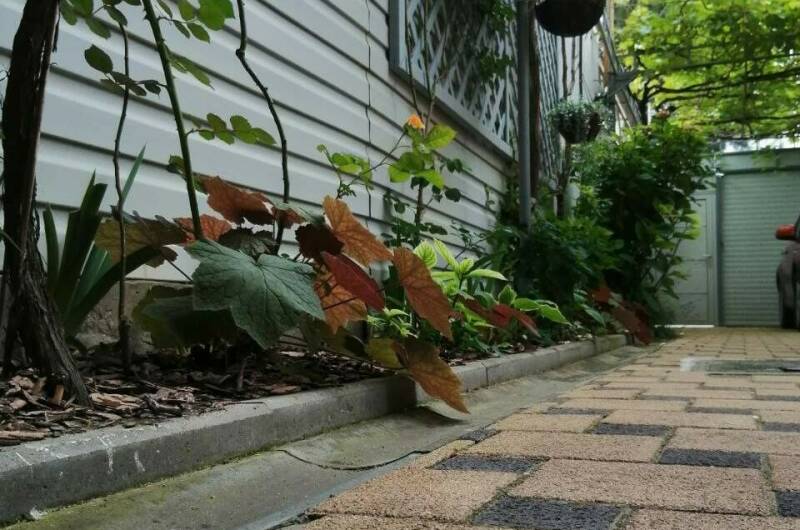 Изображение Изображение гостиницы &quot;Частный сектор на Самбурова&quot; #9 #7