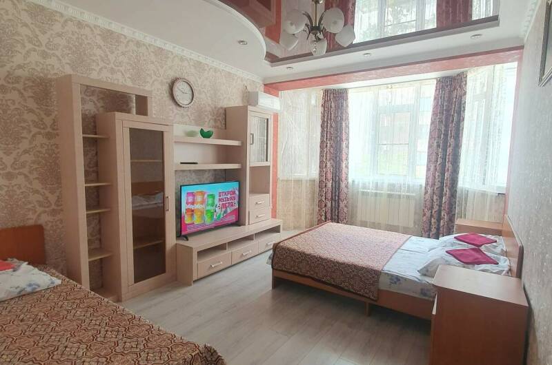 Изображение квартиры "1-комнатная квартира на Владимирской" #1