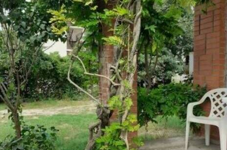 Изображение Изображение гостиницы &quot;Коттедж «Сияние»&quot; #5 #3