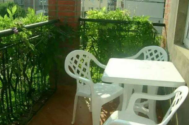 Изображение Изображение гостиницы &quot;Коттедж «Сияние»&quot; #6 #4