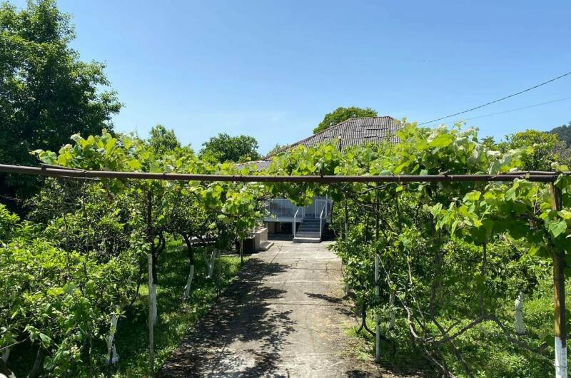 Изображение Изображение квартиры &quot;Трехкомнатный дом под ключ&quot; #6 #4