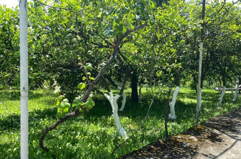 Изображение Изображение квартиры &quot;Трехкомнатный дом под ключ&quot; #10 #8