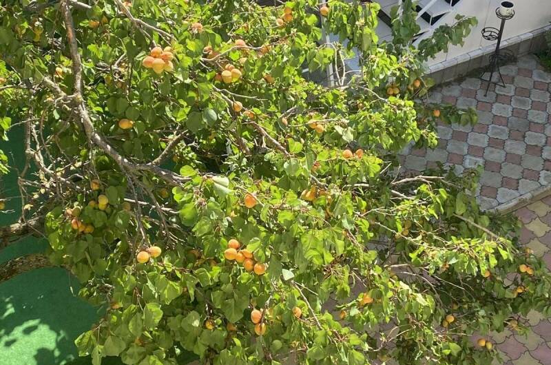 Изображение Изображение гостиницы &quot;Гостевой дом «Татьяна»&quot; #4 #2