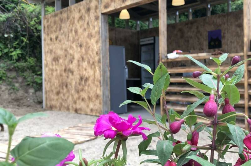 Изображение Изображение гостиницы &quot;Гостевой дом «Пегас»&quot; #11 #9