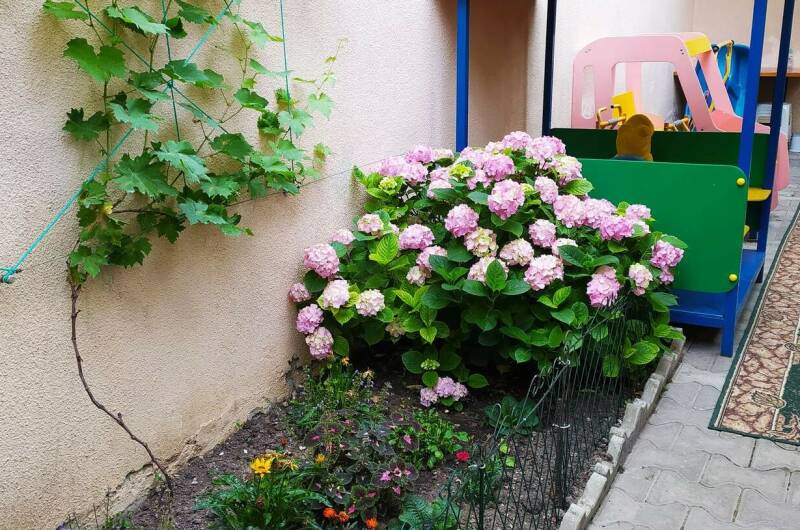 Изображение Изображение гостиницы &quot;Гостевой дом «Лайза»&quot; #3 #1