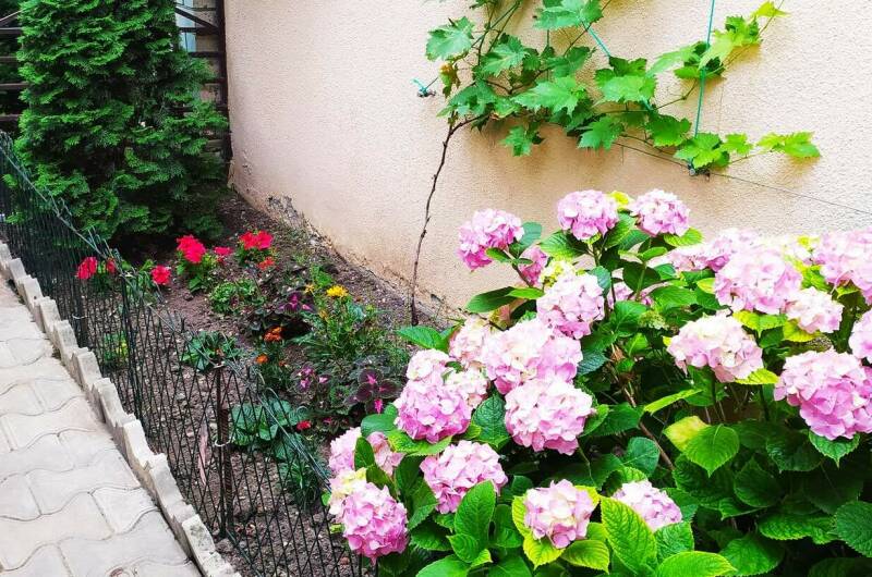 Изображение Изображение гостиницы &quot;Гостевой дом «Лайза»&quot; #5 #3