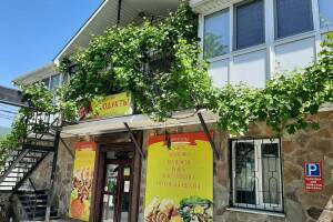 Изображение отеля / гостиницы "Гостевой дом «Светлана»"