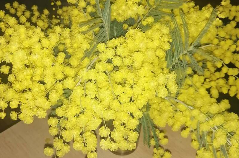 Изображение Изображение гостиницы &quot;Гостевой дом «Фиалка»&quot; #5 #3