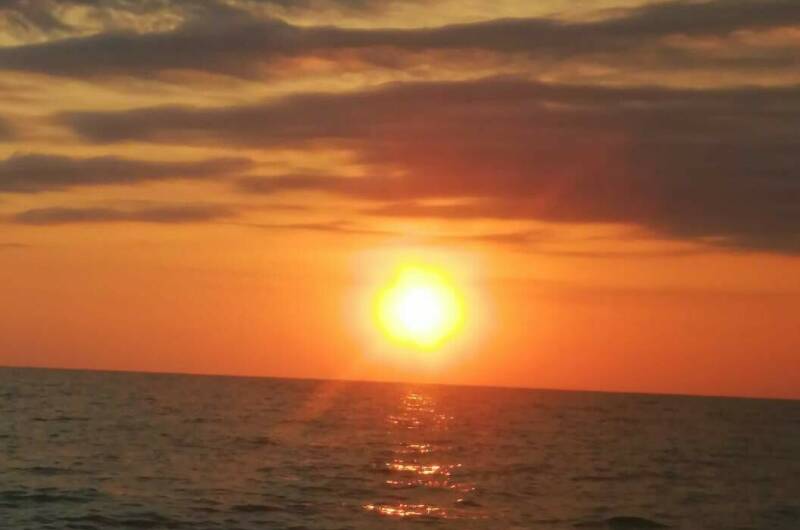 Изображение Изображение гостиницы &quot;Гостевой дом «Фиалка»&quot; #10 #8