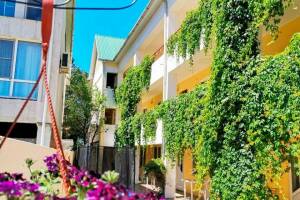 Изображение отеля / гостиницы "Гостевой дом «Ассоль»"