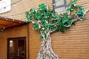 Изображение отеля / гостиницы "Гостевой дом «Гранат»"