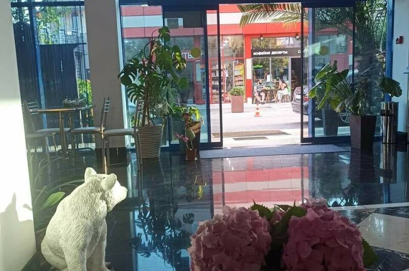 Изображение Изображение гостиницы &quot;Гостевой дом «София»&quot; #5 #3