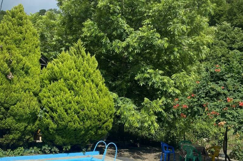 Изображение Изображение гостиницы &quot;Гостевой дом «Райский Сад»&quot; #4 #2