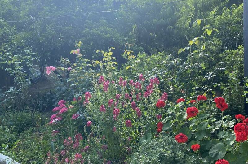 Изображение Изображение гостиницы &quot;Гостевой дом «Райский Сад»&quot; #9 #7