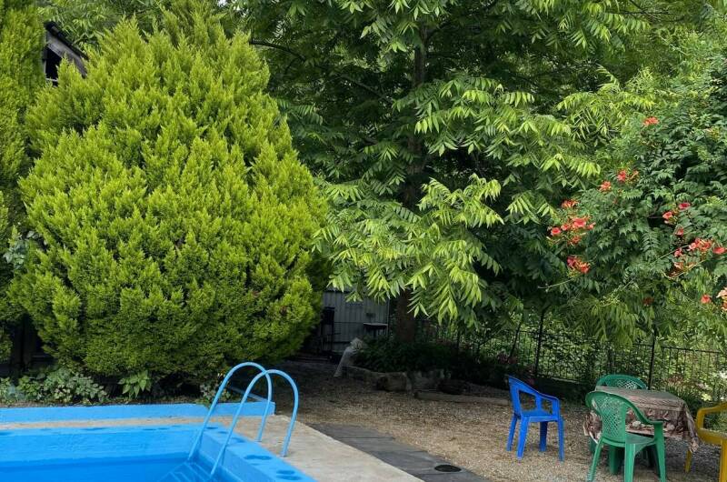 Изображение Изображение гостиницы &quot;Гостевой дом «Райский Сад»&quot; #11 #9