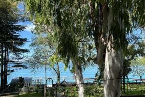 Изображение квартиры / апартамента "2-х комнатная квартира «Старая Гагра»"