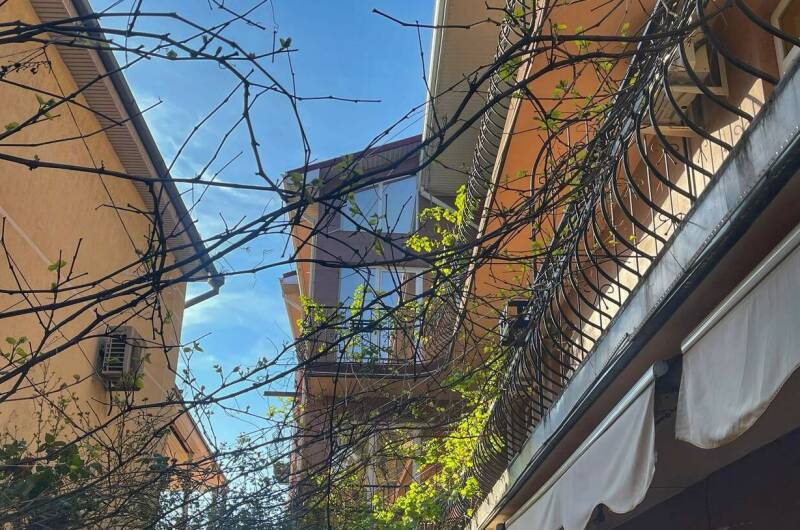 Изображение Изображение гостиницы &quot;Гостевой дом «Ника»&quot; #7 #5