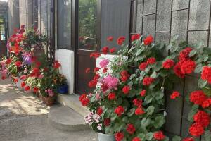 Изображение отеля / гостиницы "Частный дом «Traum»"