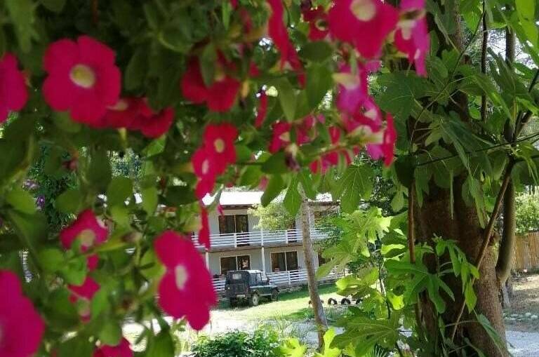 Изображение Изображение гостиницы &quot;Гостевой дом «Самшит»&quot; #9 #7