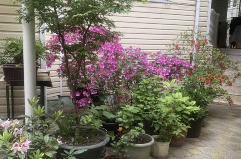 Изображение Изображение квартиры &quot;Комната под ключ с удобствами&quot; #6 #4