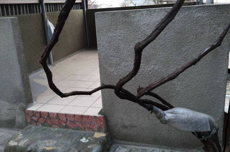 Изображение Изображение гостиницы &quot;Частный дом на Черноморской&quot; #10 #8