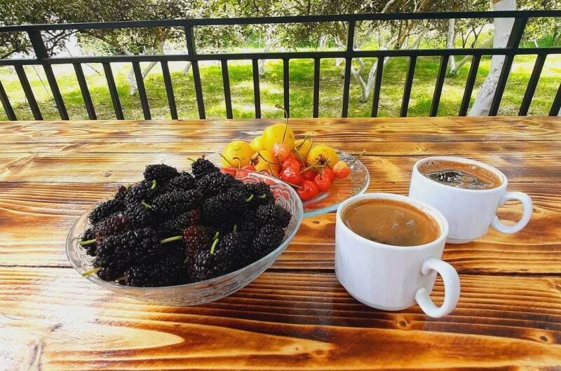 Изображение Изображение гостиницы &quot;Частный сектор «Уютное гнёздышко»&quot; #3 #1