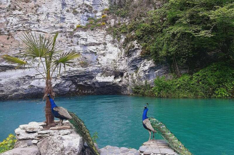 Изображение Изображение гостиницы &quot;Частный сектор «Уютное гнёздышко»&quot; #6 #4
