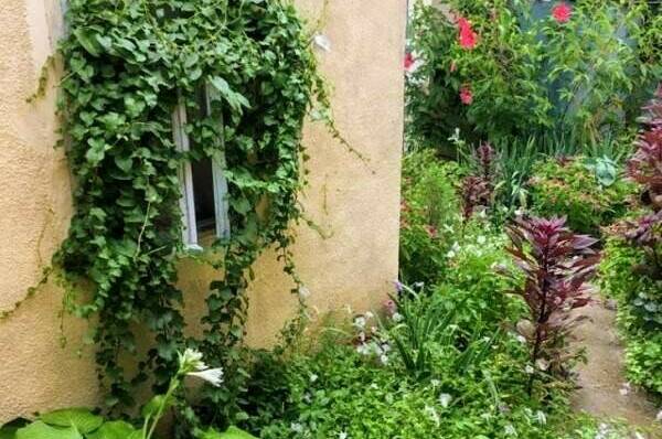 Изображение Изображение гостиницы &quot;Частный сектор на Гоголя&quot; #3 #1