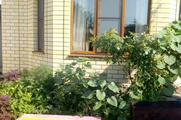 Изображение Изображение гостиницы &quot;Частный сектор на Гоголя&quot; #8 #6