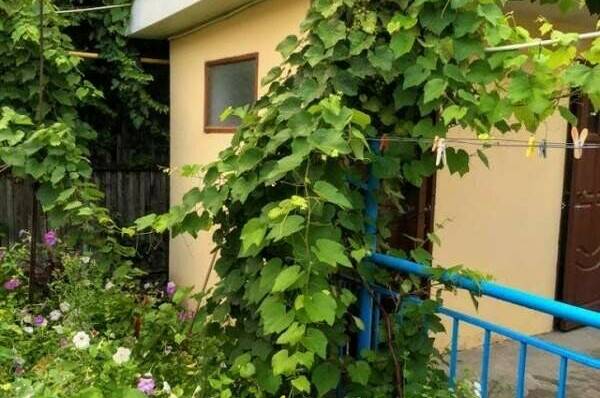 Изображение Изображение гостиницы &quot;Частный сектор на Гоголя&quot; #11 #9