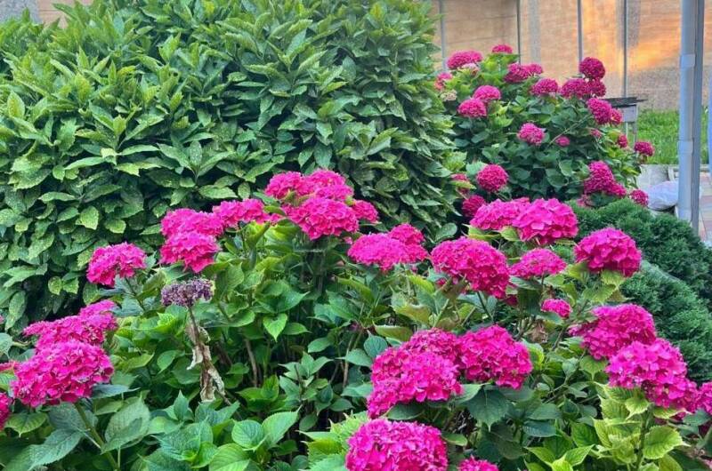 Изображение Изображение квартиры &quot;Коттедж под ключ&quot; #9 #7