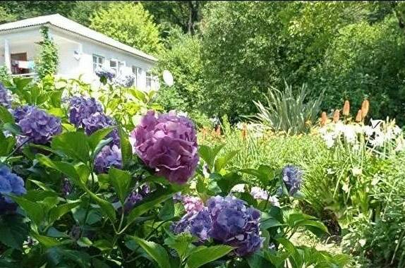 Изображение Изображение гостиницы &quot;Гостевой дом «Место под солнцем»&quot; #3 #1