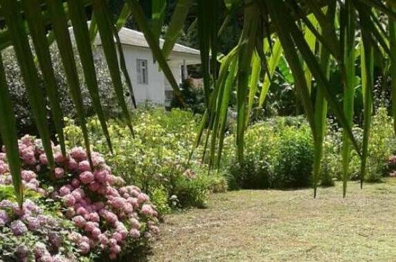 Изображение Изображение гостиницы &quot;Гостевой дом «Место под солнцем»&quot; #4 #2