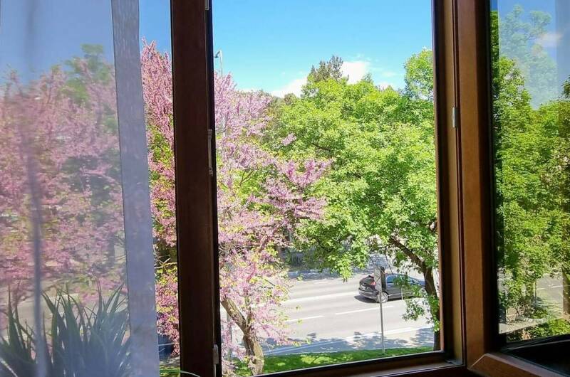 Изображение Изображение гостиницы &quot;Гостевой дом «Радон»&quot; #6 #4