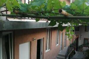 Изображение отеля / гостиницы "Гостевой дом «Салют»"