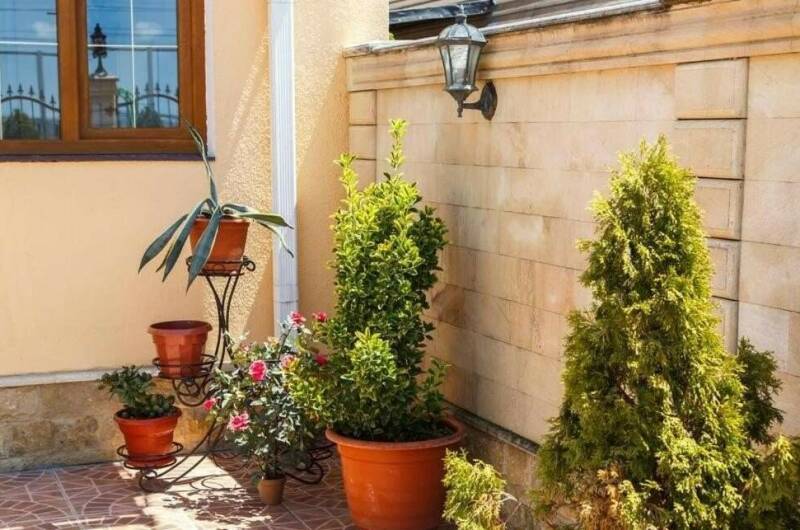 Изображение Изображение гостиницы &quot;Гостевой дом «Сияние»&quot; #5 #3