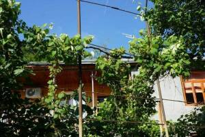 Изображение отеля / гостиницы "Гостевой дом «У Игоря»"