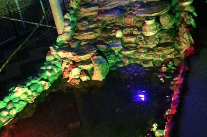 Изображение Изображение гостиницы &quot;Гостевой дом «Шангри-ла»&quot; #9 #7