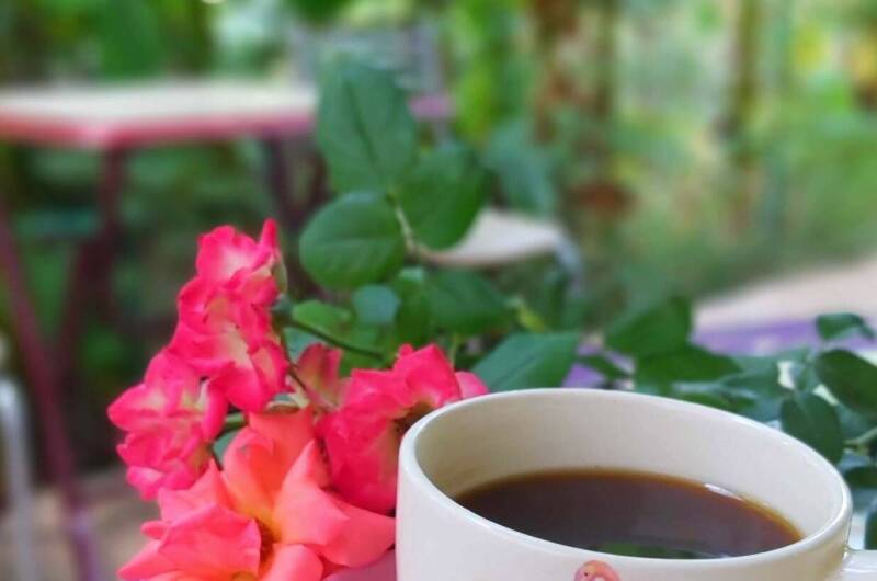 Изображение Изображение гостиницы &quot;Частный сектор «На Тургенева»&quot; #3 #1