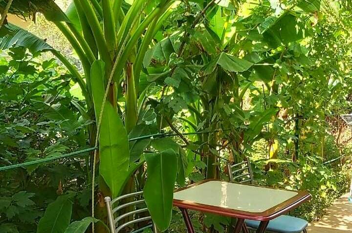 Изображение Изображение гостиницы &quot;Частный сектор «На Тургенева»&quot; #7 #5