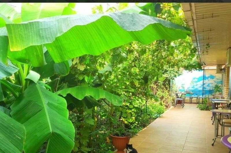 Изображение Изображение гостиницы &quot;Частный сектор «На Тургенева»&quot; #10 #8