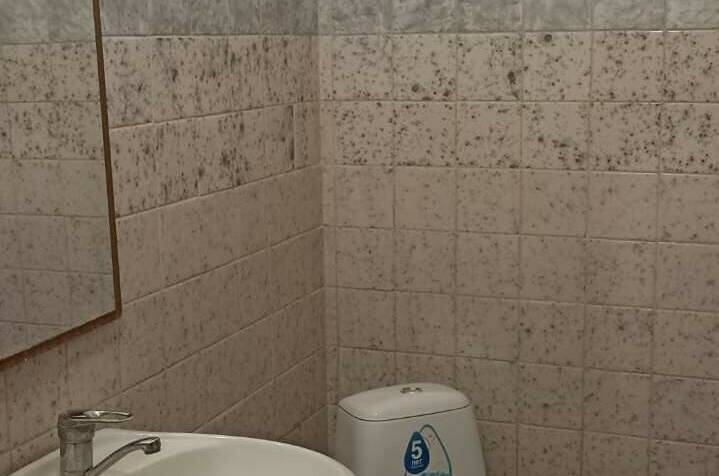 Изображение Изображение гостиницы &quot;Гостевой дом «Магнолия»&quot; #10 #8