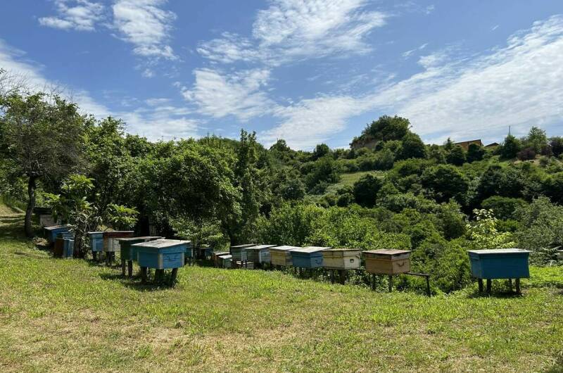 Изображение Изображение гостиницы &quot;Гостевой дом «Ася и Миша»&quot; #4 #2