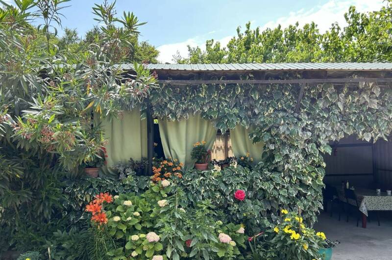 Изображение Изображение гостиницы &quot;Гостевой дом «Ася и Миша»&quot; #11 #9