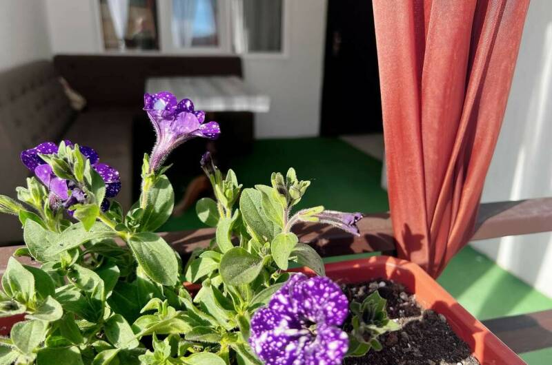 Изображение Изображение гостиницы &quot;Гостевой дом на Школьной&quot; #5 #3