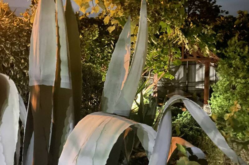 Изображение Изображение гостиницы &quot;Гостевой дом «Дача»&quot; #9 #7