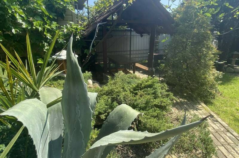 Изображение Изображение гостиницы &quot;Гостевой дом «Дача»&quot; #11 #9